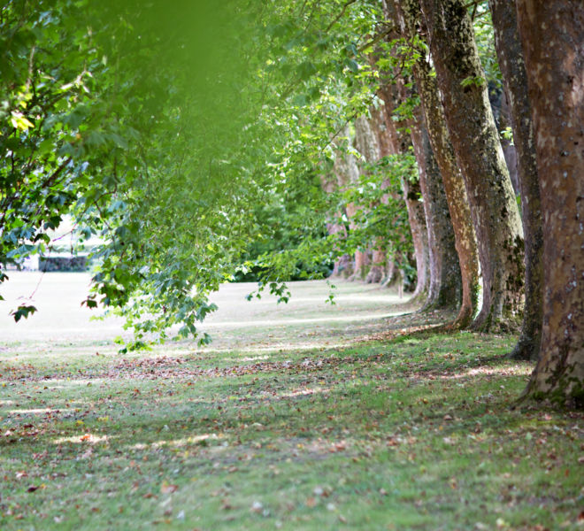 Parc thermal-06
