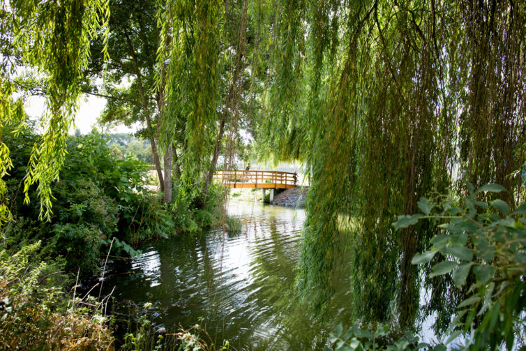 Thermal Spa à Bourbon-Lancy