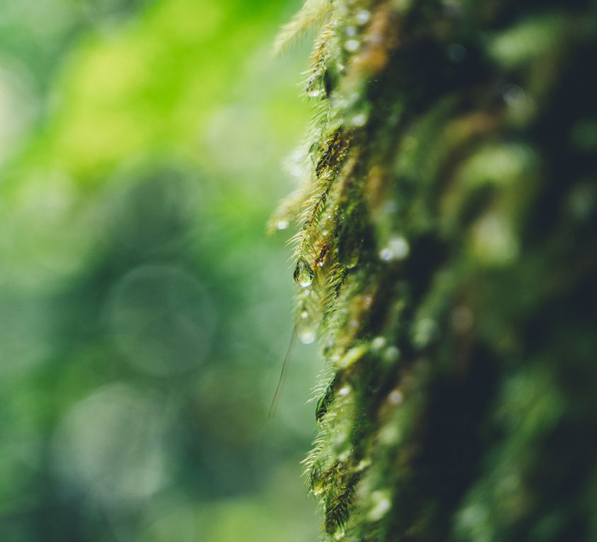 nicole-y-c-Gua-KGKznPk-unsplash