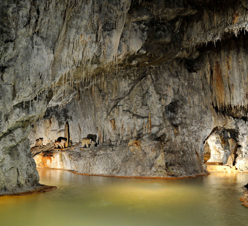 saint-nectaire-les-fontaines-petrifiantes-Vue-de-la-Grotte--J-H-Bayle