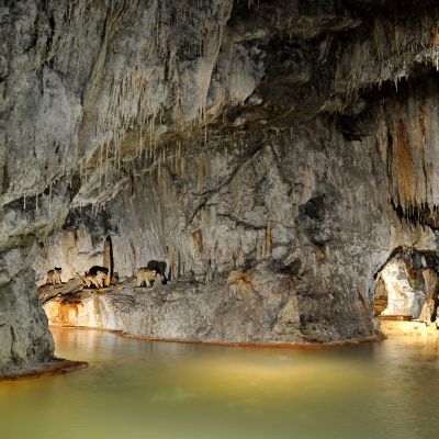 saint-nectaire-les-fontaines-petrifiantes-Vue-de-la-Grotte--J-H-Bayle