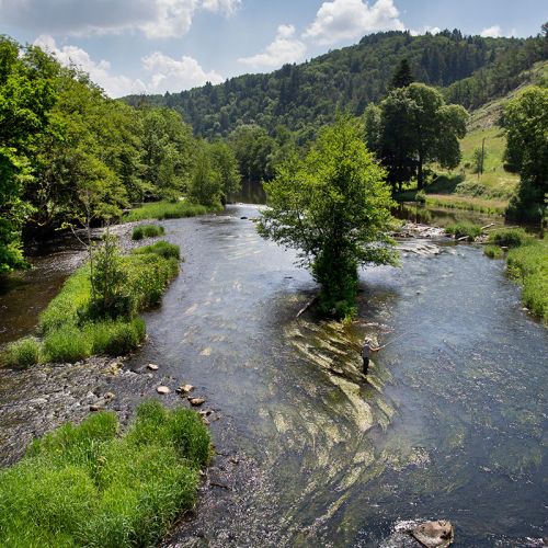 Retour aux sources idylllique