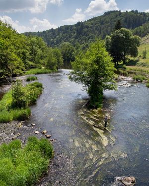 Retour aux sources idylllique